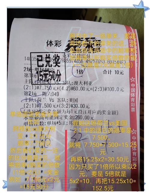 全面解析世界杯投注排行全站